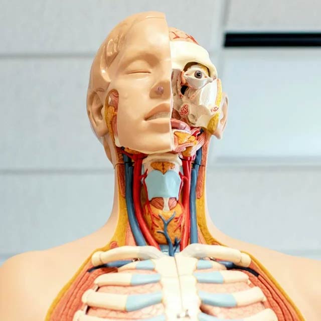 VNS-Analyse beim Orthopäden